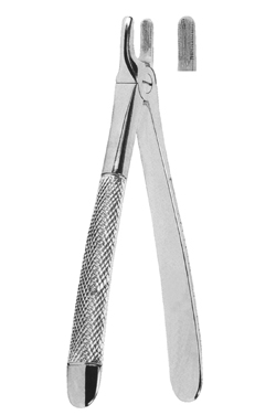 Extracting Forceps For Children – English Pattern