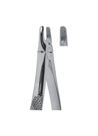 Extracting Forceps – English Pattern