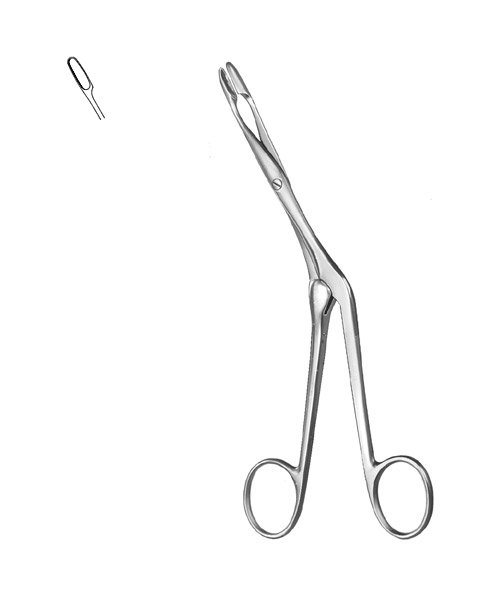 Septum Forceps