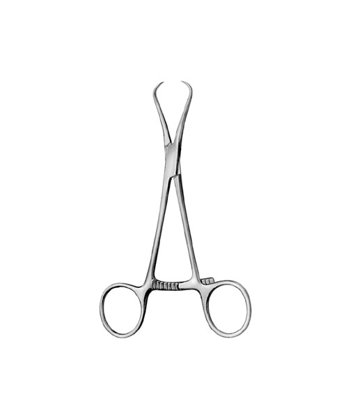 Bone Holding Forceps